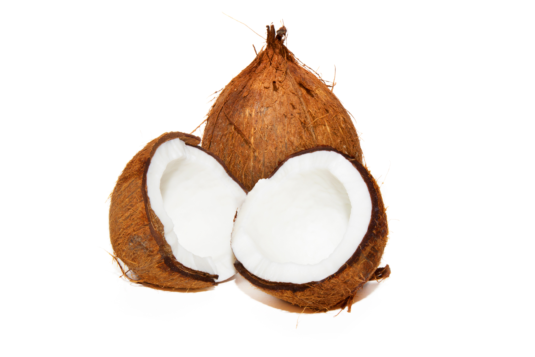 Kokosnuss